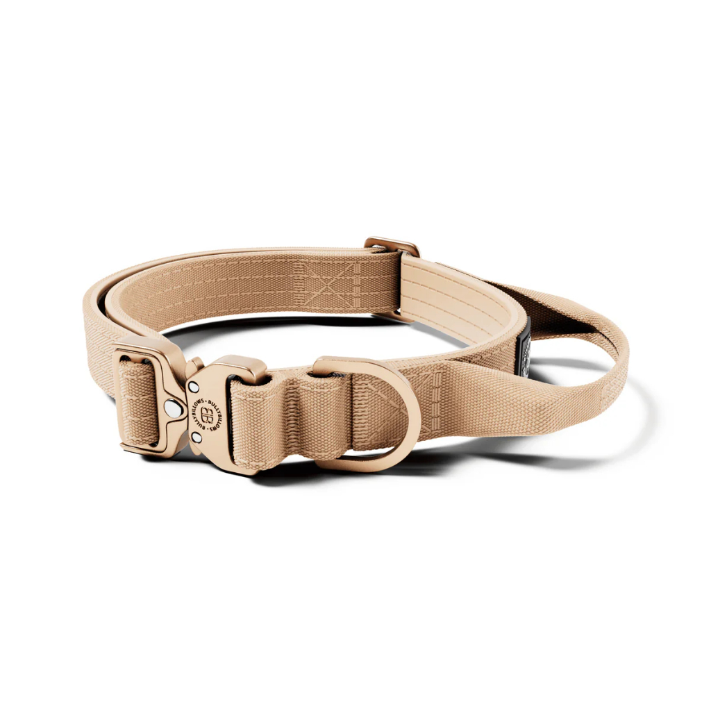 BullyBillows 2.5cm LIGHTER Combat® Collar รูปที่ 5