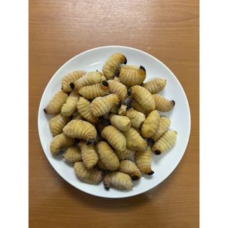 ด้วงสาคู ไซต์ใหญ่ ด้วงมะพร้าว ไม่ปรุงรส สัตว์เลี้ยงกินได้