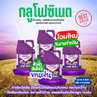 [แพ็ค4แกลลอน] *โฉมใหม่* NAAK กลูโฟซิเนต 4 ลิตร กระติกม่วง กลูโฟซิเนต-แอมโมเนียม (glufosinate-ammonium) 15% W/V SL