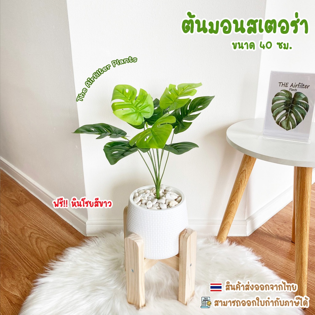 ต้นไม้ปลอม(ฟรี!!หินโรย) ต้นมอนสเตอร่าสูง35-45ซม. ตั้งหน้าทีวี ตั้งโต๊ะและหัวเตียง ต้นไม้มงคล พร้อมกระถางและหินสีขาว