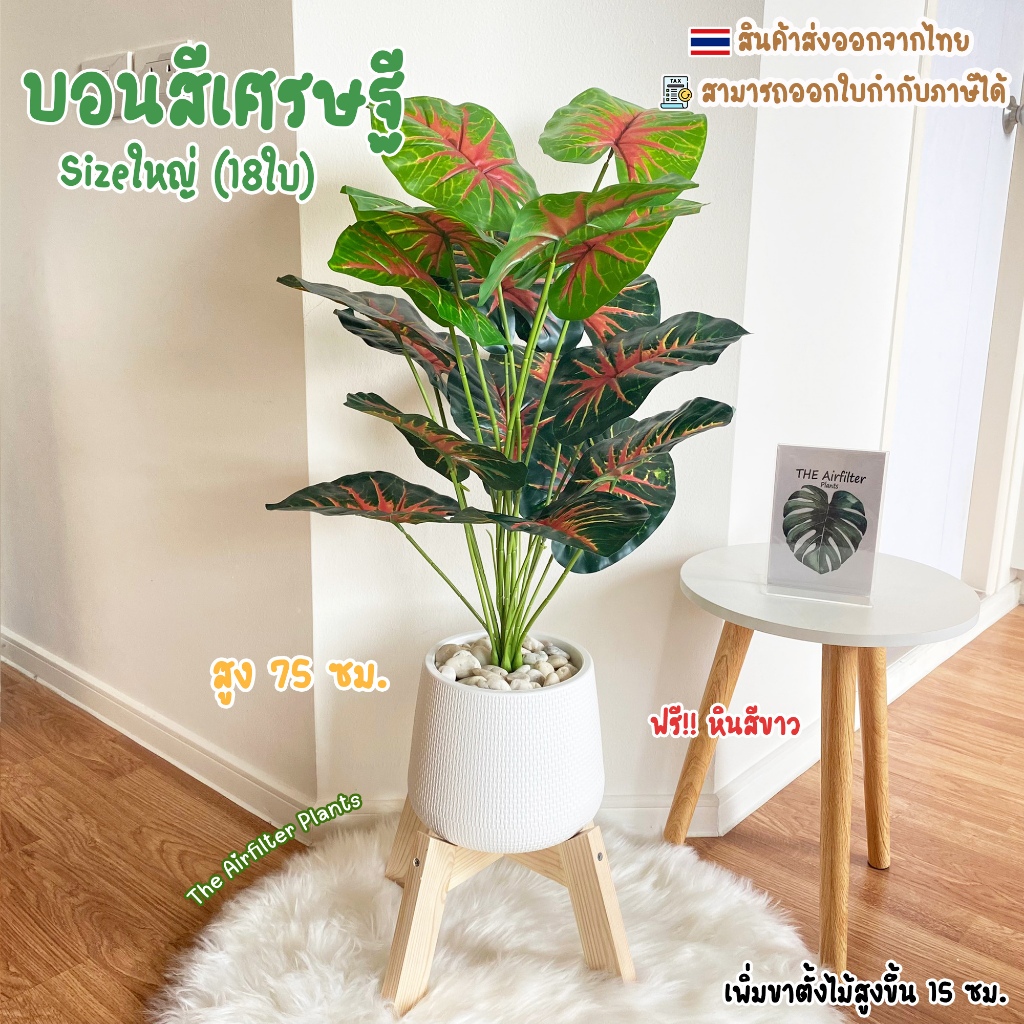 ต้นไม้ปลอมSizeใหญ่ พร้อมกระถางครบเซ็ต(ฟรี!!หินโรย) ต้นบอนสีเศรษฐี สูง75-90ซม. ตั้งบริเวณบ้าน ตั้งหน้าทีวี ต้นไม้มงคล