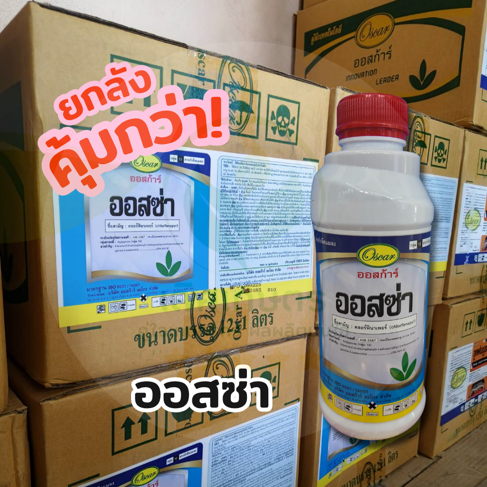 📦ยกลัง! คลอร์ฟีนาเพอร์10% (ออสซ่า 1ลิตรx12) สูตรเย็น จบหนอนดื้อยา! กำจัดหนอนม้วนใบ หนอนกอ เพลี้ยไฟ ไรแดง