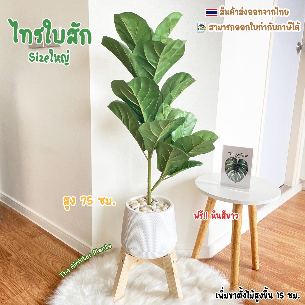 ต้นไม้ปลอมSizeใหญ่ พร้อมกระถางครบเซ็ต(ฟรี!!หินโรย) ต้นว่านเสน่ห์ สูง75-90ซม. ตั้งบริเวณบ้าน ตั้งหน้าทีวี ต้นไม้มงคล