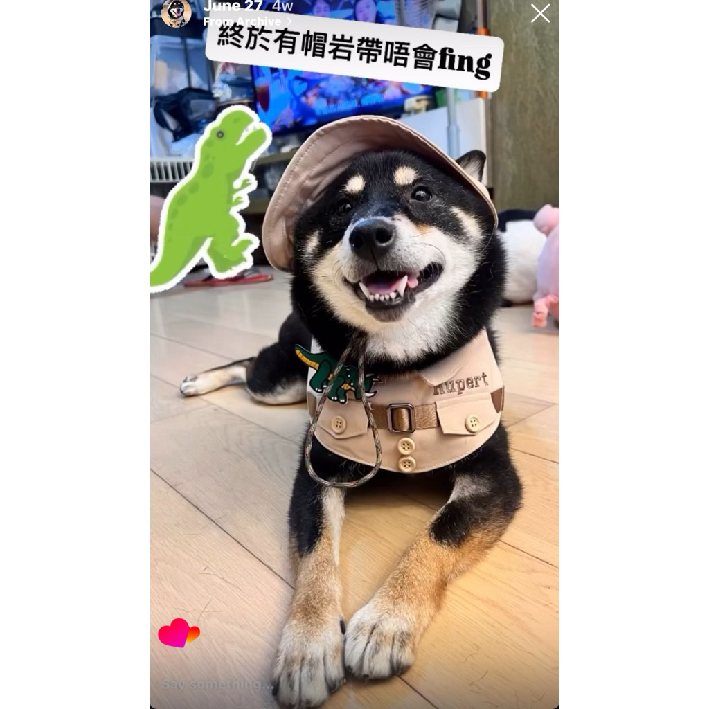 Fairy Tail (PET) | CAMP Cape ชุดนักเดินป่า ชุดลูกเสือ