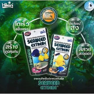HIKARI SEAWEED EXTREME (อาหารปลาทะเล เม็ดจม สูตรผสมสาหร่ายทะเล 67% กลิ่นหอม ปลากินง่าย สารอาหารสูง)