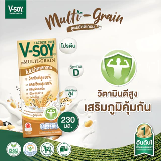V-soy วีซอย นมถั่วเหลือง เพื่อสุขภาพ รวมทุกรสชาติ (ยกลัง 36 กล่อง)