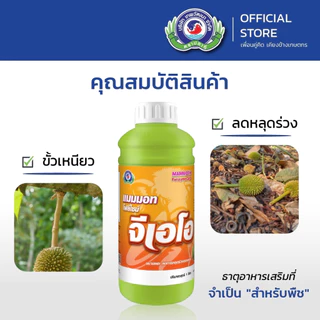 แมมมอทโฟลีไซม์ จีเอโอ เทพวัฒนา ช่วยสะสมอาหาร ช่วยสร้างตาดอก