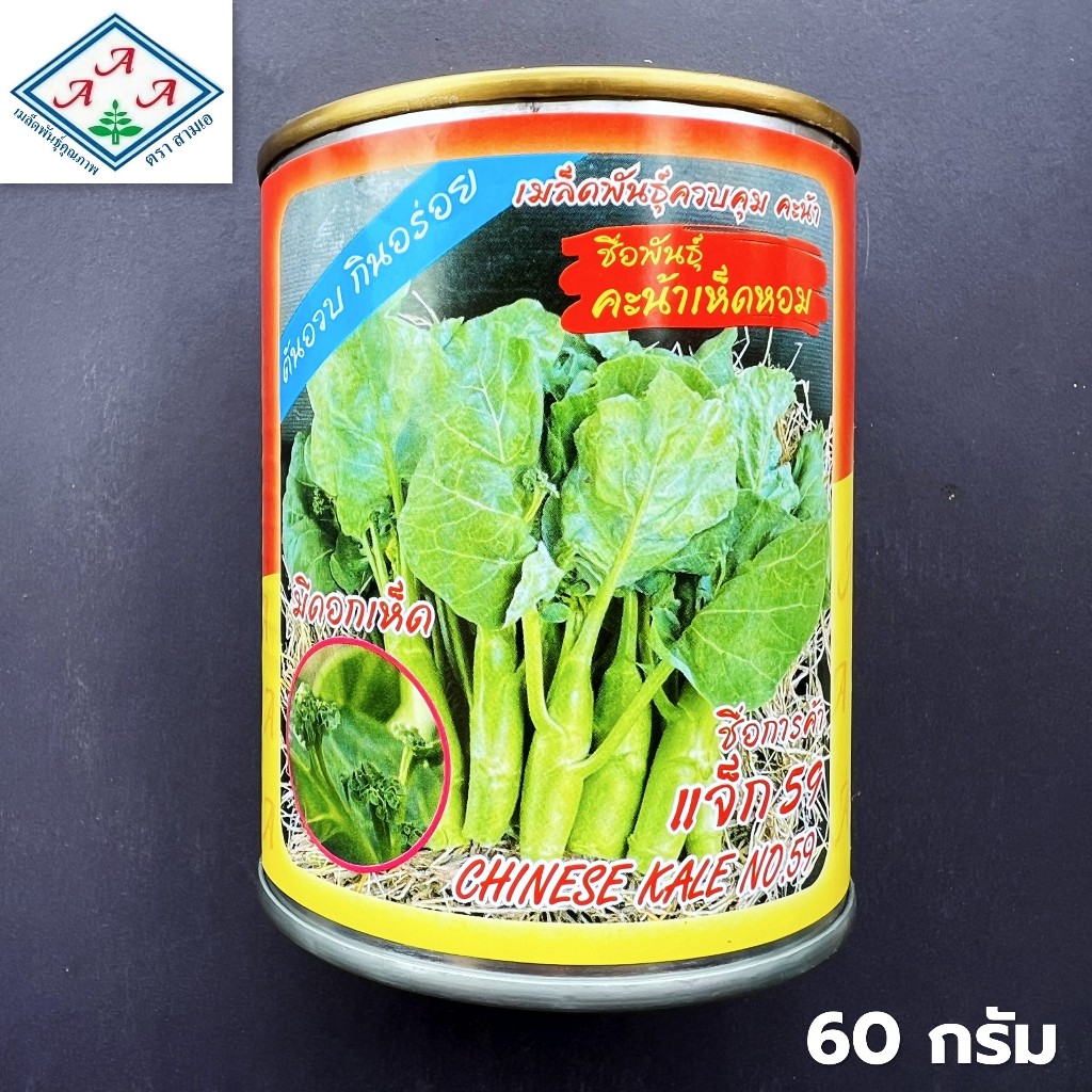 เมล็ดคะน้าเห็ดหอม (Kale Mushroom​) คะน้าหวาน กระป๋อง ขนาด 60 กรัม ตราสามเอ (3A) ลำต้นใหญ่ ยอดอวบ หวานกรอบ