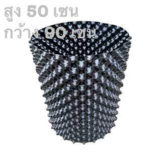 วงล้อมต้นไม้ สูง 50 เซน กระถางแอร์พอร์ต กระถางAirpot ขนาดใหญ่