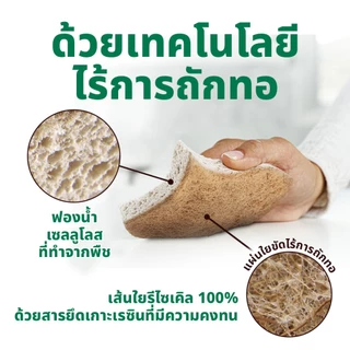 3M™ Scotch-Brite® สก๊อตช์-ไบรต์ ฟองน้ำเซลลูโลสพร้อมแผ่นใยขัด, กรีนเนอร์คลีน, สำหรับงานไร้ริ้วรอย, 2 ชิ้น/แพ็ค