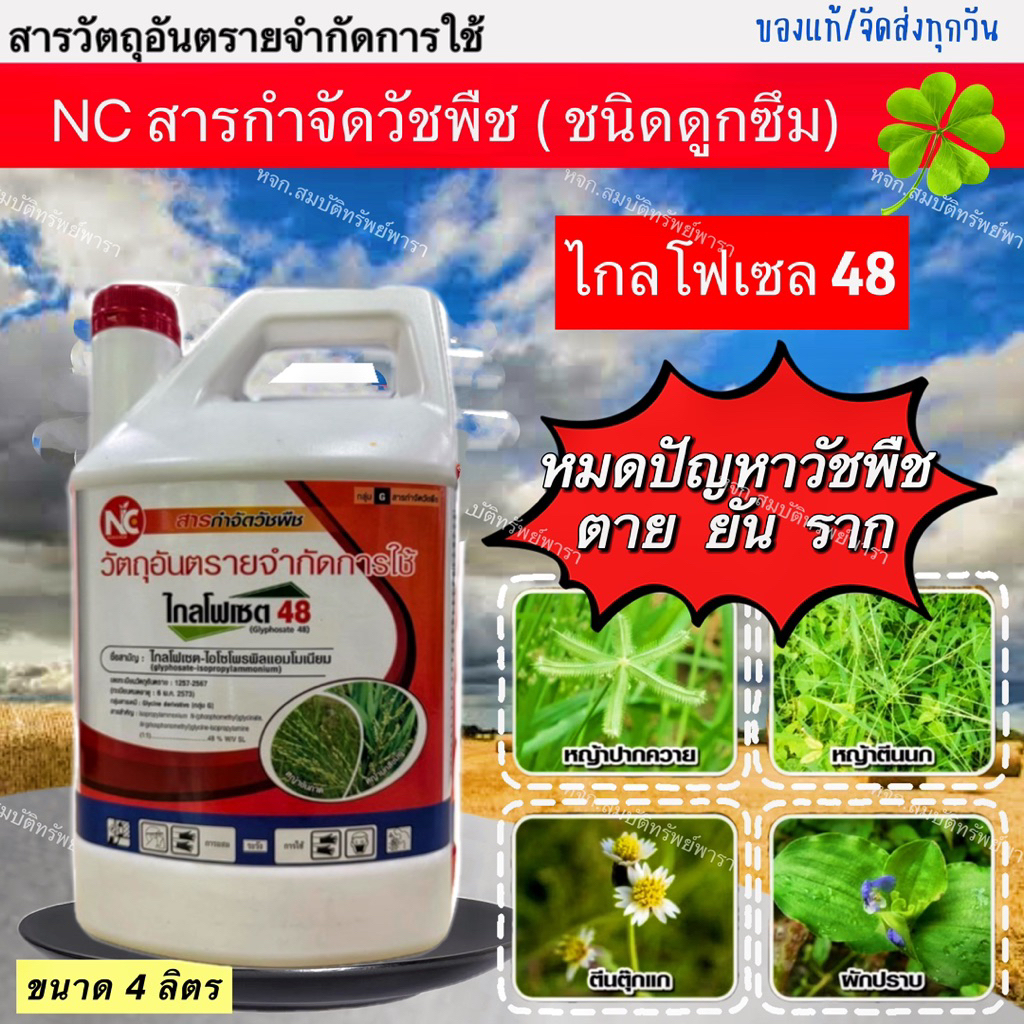 ไกNC สารกำจัดหญ้าทุกชนิด ขนาด 4 ลิตร **แกลลอนขาว**
