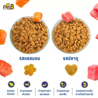 Pet8 อาหารแมวโต 7 กก. โปรตีนสูง 26% สูตรควบคุมความเค็ม สำหรับแมว 1 ปีขึ้นไป รสแซลมอนและปลาทู บำรุงขนและผิวหนัง ดูแลสายตา