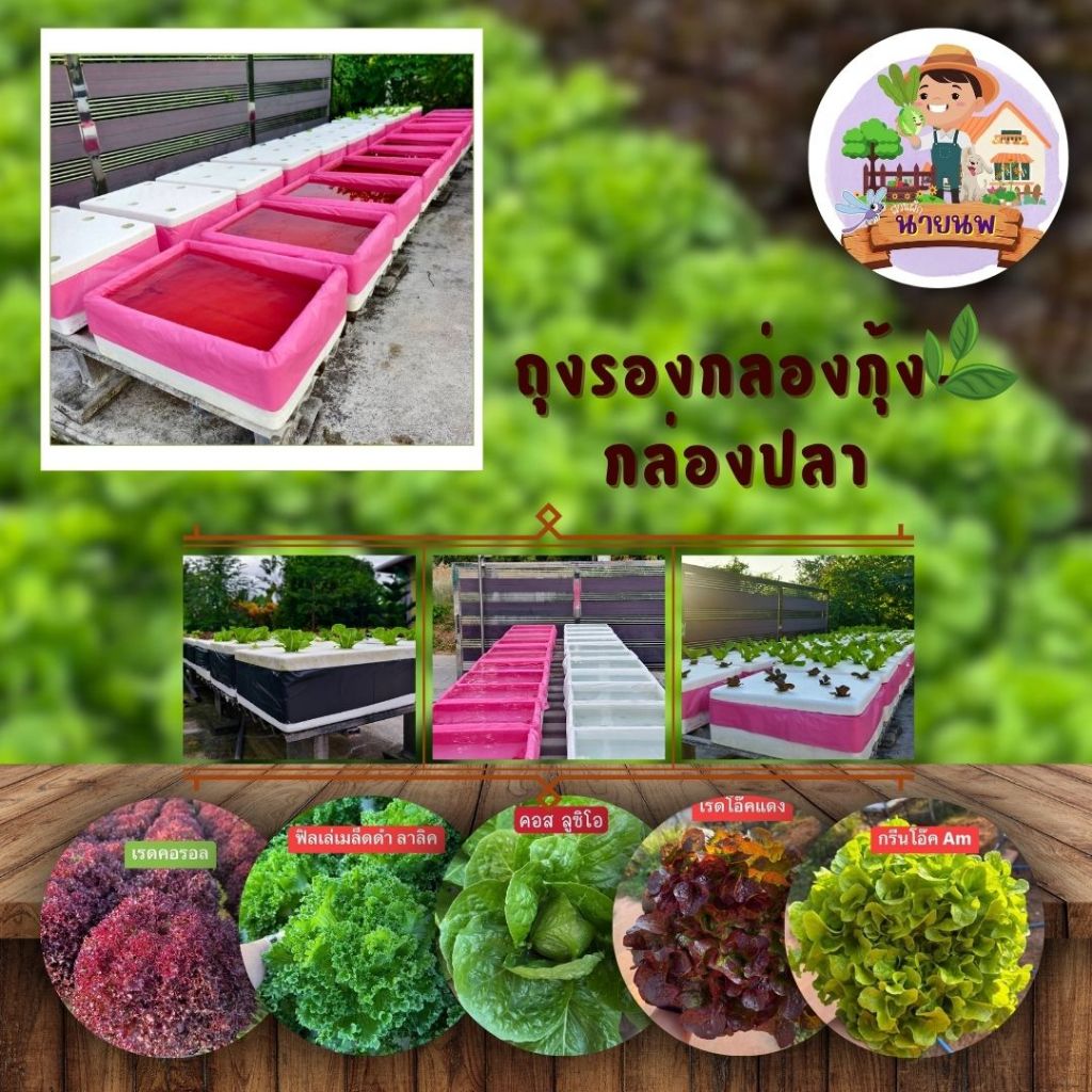 ถุงรองกล่องกุ้ง-กล่องปลา สินค้าพร้อมส่ง ไฮโดรโปรนิกส์