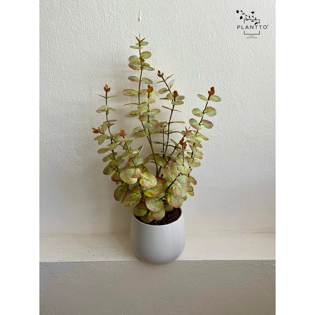 ต้นไม้ปลอม Eucalyptus Sunset Edition กระถางเซรามิคกว้าง 14 cm สูงรวม 55 cm