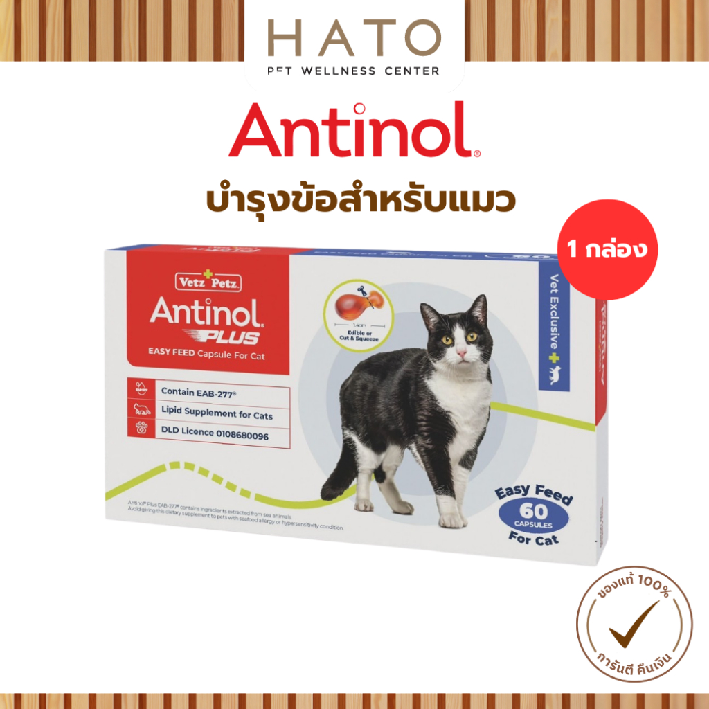 Antinol Cat แอนทินอล อาหารเสริมไขมัน บำรุงข้อ สำหรับแมว 1 กล่อง (60 เม็ด) Vetz Petz