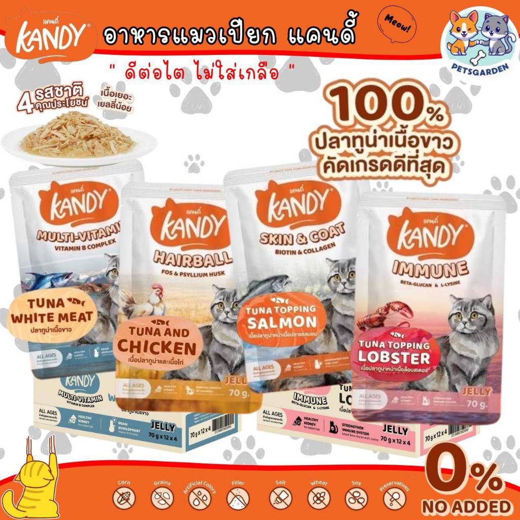 Kandy Pouch อาหารเปียกแมว แคนดี้ ขนาด 70 กรัม ไม่ใส่เกลือ ผลิตจากปลาเนื้อขาว เกรดคนทานได้