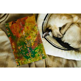 หนังสือปกแข็ง เดียวดายใต้เงาจันทร์ /โก้วเล้ง เขียน /เรืองรอง…