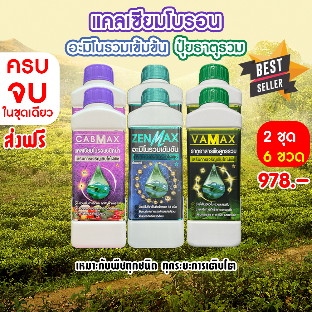 ( 2ชุด) CABMAX แคลเซียมโบรอนเข้มข้น + VAMAX ธาตุอาหารรวมเข้มข้น + ZENMAX อะมิโนรวมเข้มข้น (Z2+C2+V2)