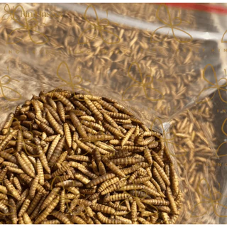 BSF หนอนแมลงวันลายอบแห้ง โปรตีนสูง สำหรับสัตว์เลี้ยง ฟาร์มไก่ ปลา กบ เม่น (1Kg/2Kg/3Kg) โรงงานส่งตรง ราคาถูกสุด