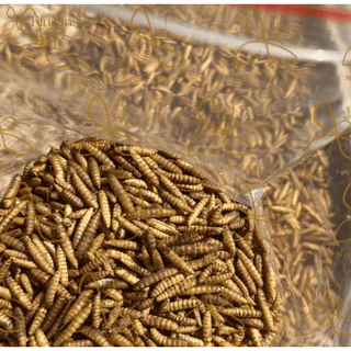 BSF หนอนแมลงวันลายอบแห้ง 500g โปรตีนสูง สำหรับสัตว์เลี้ยง ฟาร์มไก่ ปลา กบ โรงงานส่งตรง ราคาถูกสุด
