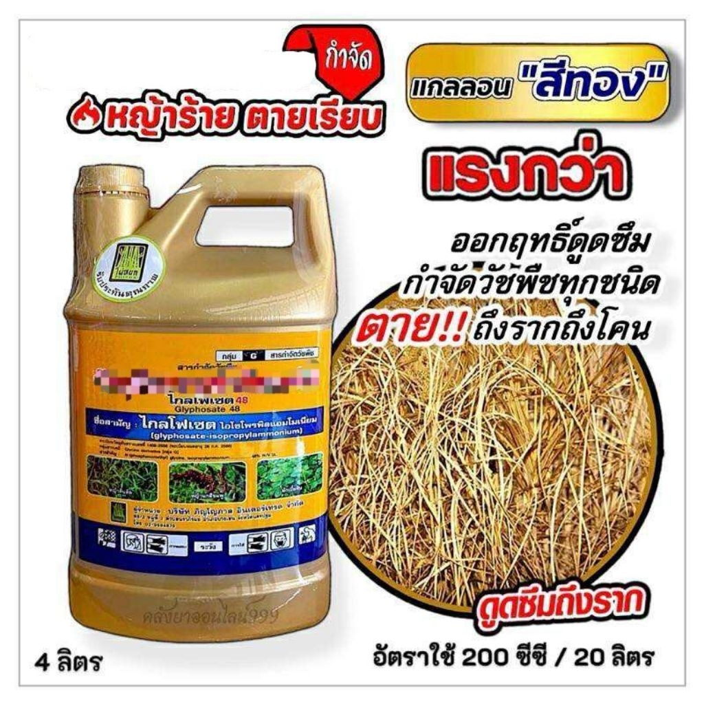 ของแท้ %เต็ม ดูดซึม(ตราไผ่หยก)แกลอนทอง ขนาด4ลิตร ดูดซึมถึงรากถึงโคน ปราบเรียบวัชพืชในสวน ในนา ในไร่