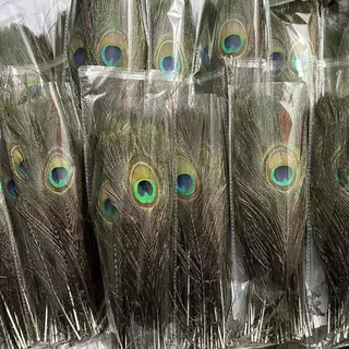 ขนหางนกยูง ราคา2ชิ้น ยาว30ซม.สินค้ามีพร้อมส่ง