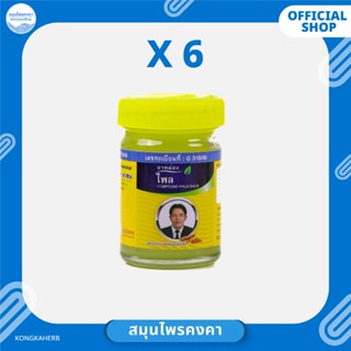 ยาหม่องไพล ขนาด 50 กรัม (ครึ่งโหล)