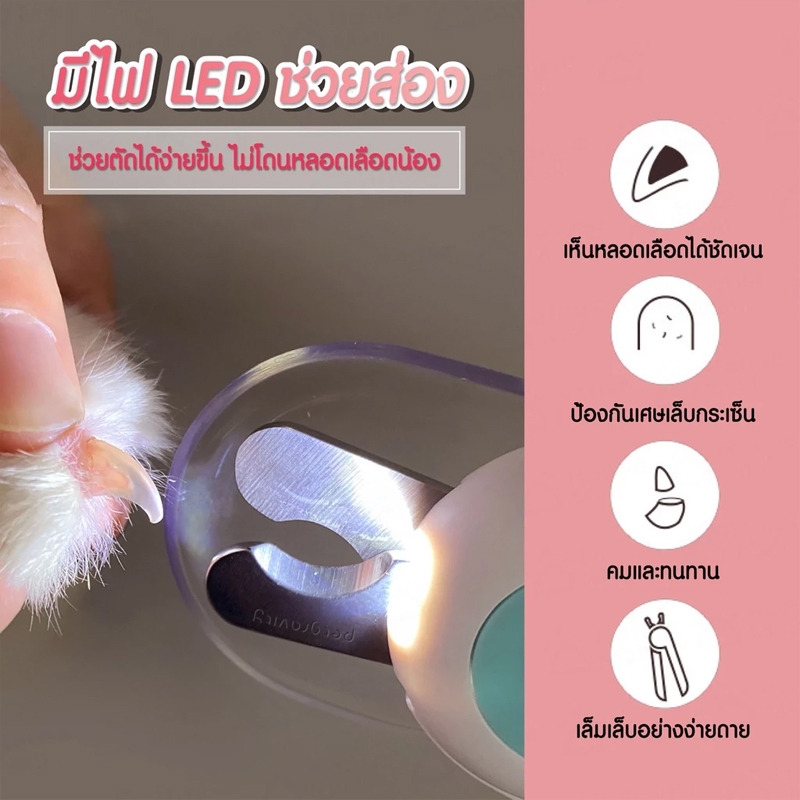 รูปภาพ 3