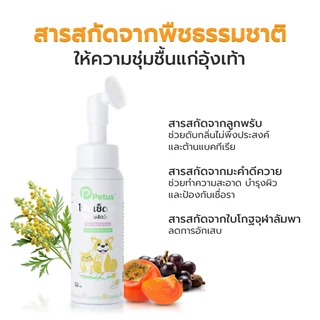 Petus โฟมทำความสะอาดเท้าสัตว์เลี้ยง Pet feet cleaner โฟมล้างเท้าสัตว์ พร้อมแปรงขัด ดับกลิ่นได้ดี กำจัดแบคทีเรีย