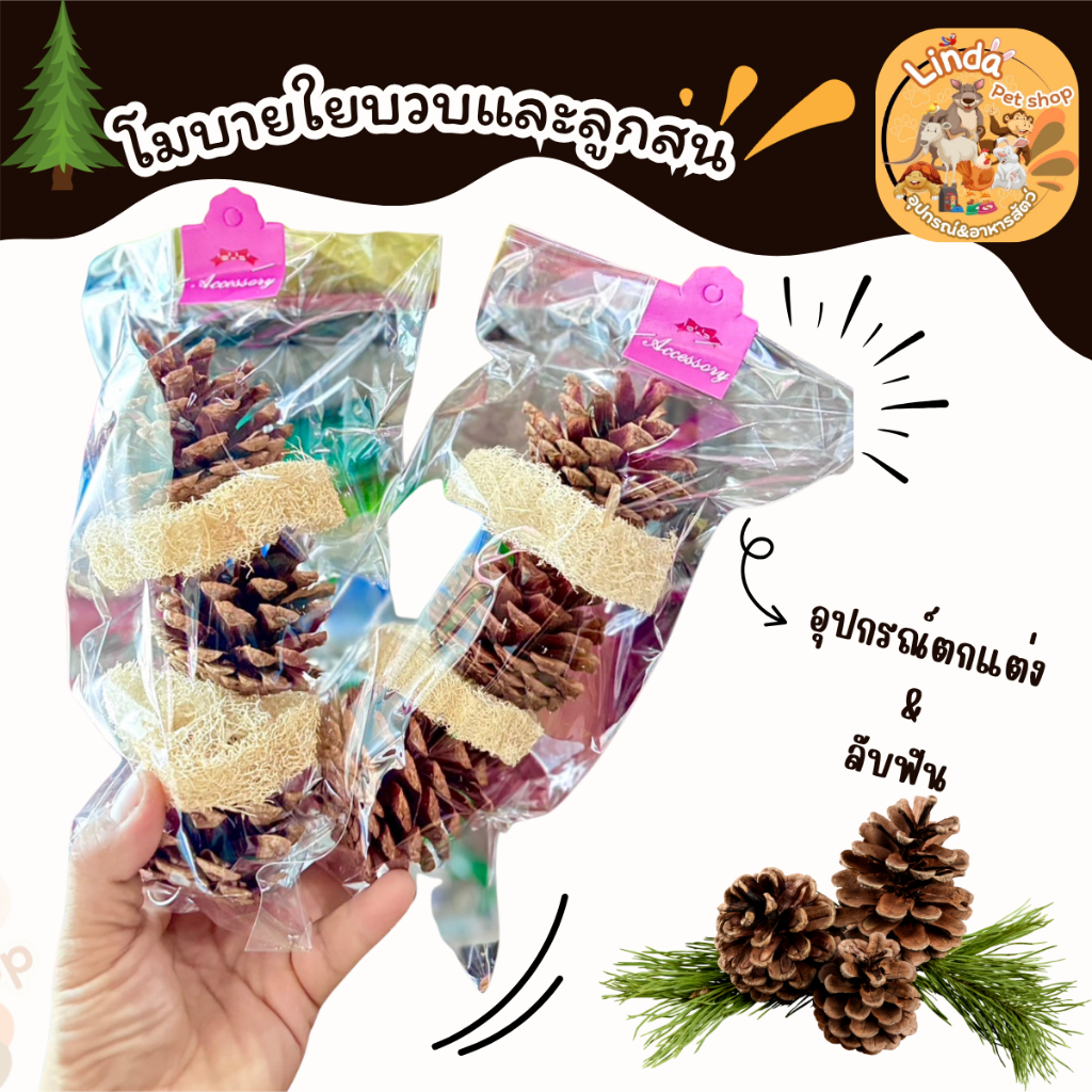 โมบายใยบวบและลูกสน อุปกรณ์สำหรับสัตว์เลี้ยง โดยเฉพาะสัตว์ฟันแทะ เช่น กระรอก ชินชิล่า หรือกระต่า