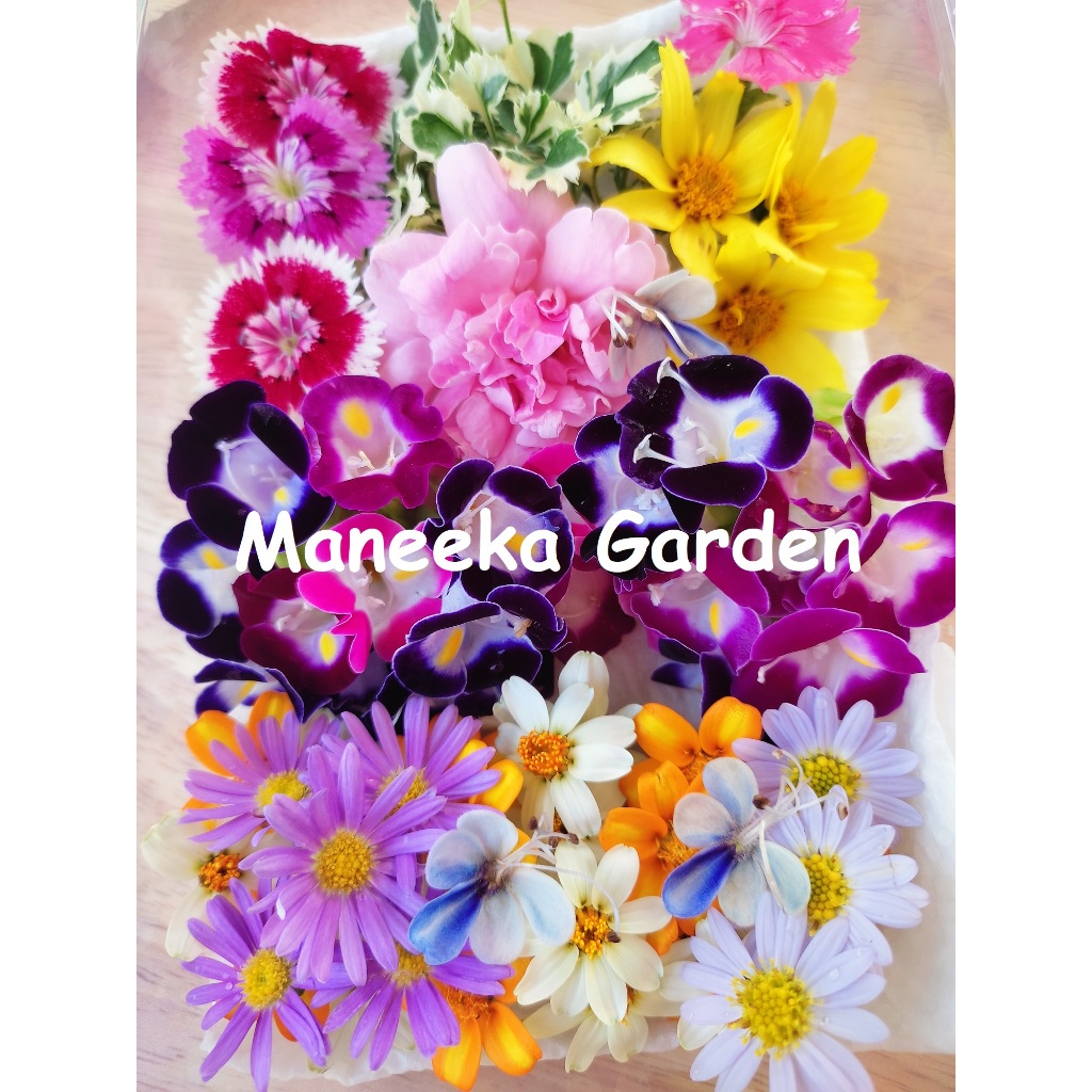 Edible Flowers ดอกไม้กินได้ ดอกไม้แต่งอาหาร ดอกไม้แต่งขนม แบบคละชนิด กล่องละ 80 ดอก + ใบไม้ตกแต่ง 5 ใบ ส่งด่วนทุกวัน