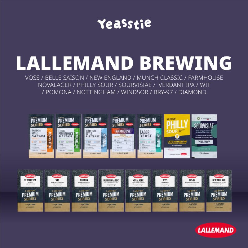 ยีสต์ทำเบียร์ หมักเบียร์ จาก Lallemand #Homebrew #Lalbrew