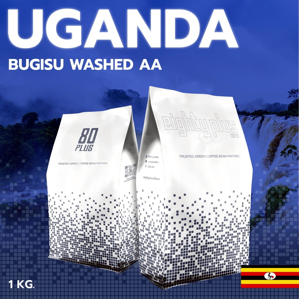Uganda Bugisu Washed AA | สารกาแฟ 80+ Coffee