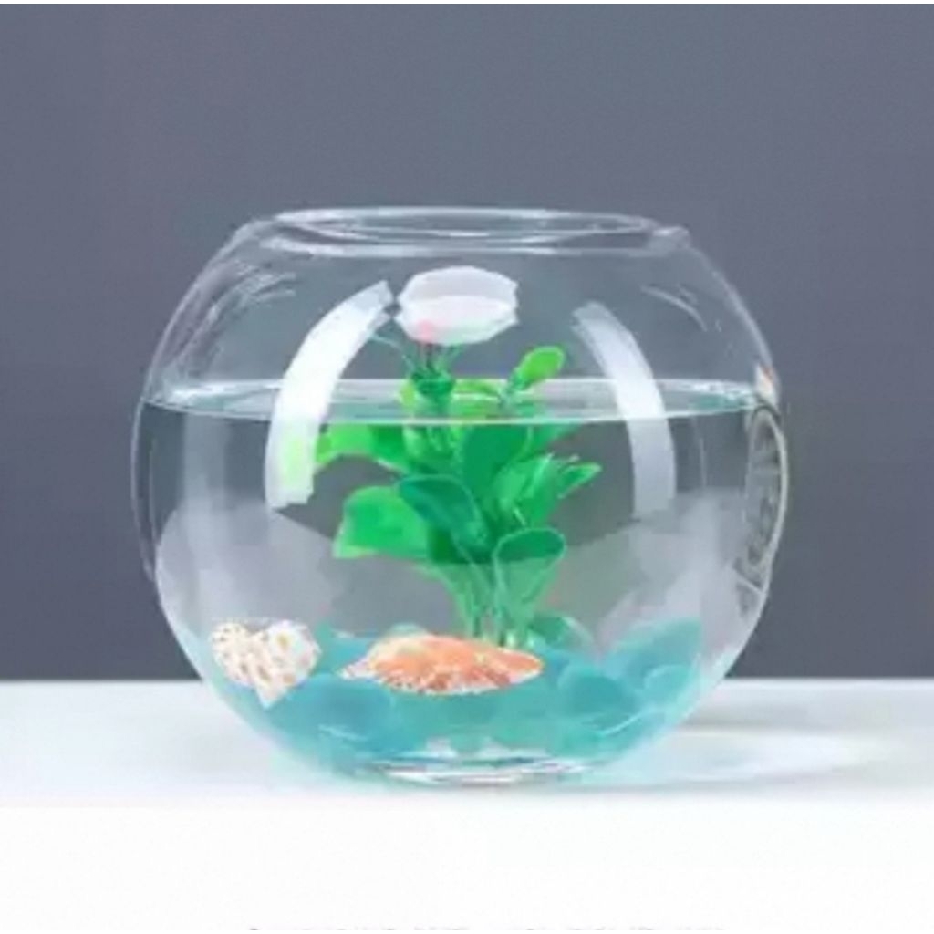 RTNS SHOP : โหลแก้วสำหรับเลี้ยงปลาสวยงาม ตู้ปลาทอง ตู้ปลาขนาดเล็ก มี 12 ขนาด ☆ - รูปที่ 4