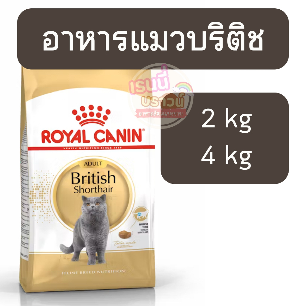 ส่งด่วนมาก+ผ่อนได้⚡️Royal Canin British Shorthair Adult อาหารแมวโตพันธุ์บริติช ชอร์ตแฮร์ ดูแลกระดูกข้อต่อ การทำงานหัวใจ