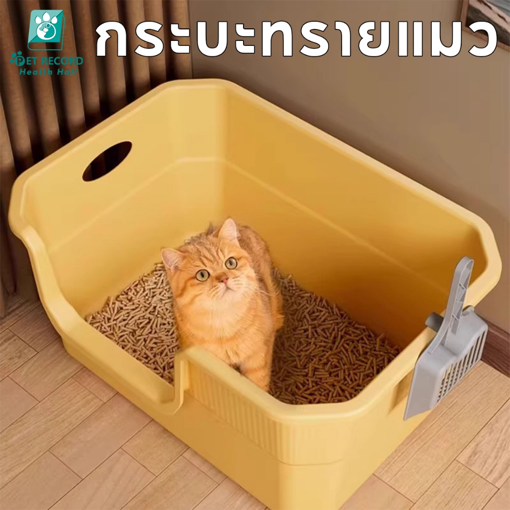 กระบะทรายแมวกว้าง กระบะทราย ห้องน้ําแมว กระบะทรายแมวใหญ่ กะบะทรายแมวขอบสูง กะบะทรายแมวใหญ่ๆ