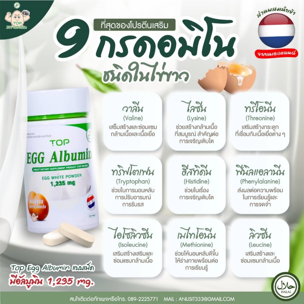 Egg Albumin Top ผงอัลบูมินจากไข่ขาวชนิดเม็ด (ขนาด 60 และ 30 เม็ด/ขวด) - รูปที่ 5