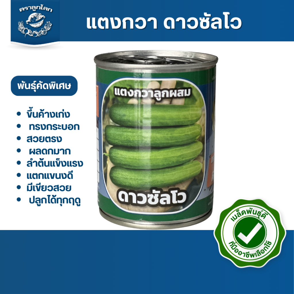 ตราลูกโลก เมล็ดแตงกวา ดาวซัลโว Cucumber เมล็ดพันธุ์ผัก ผักสวนครัว ผักซอง