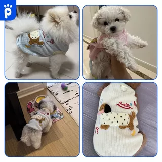 My Paws เสื้อผ้าสัตว์เลี้ยง ชุดหมาแมว มีให้เลือก3สี ลายการ์ตูนหมาดัชชุน