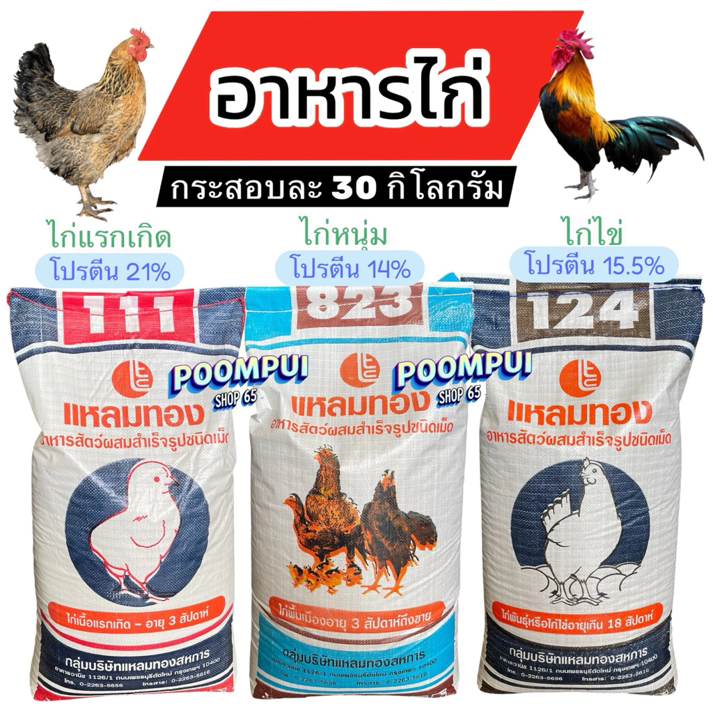 อาหารไก่แรกเกิด ไก่หนุ่ม ไก่ไข่ ยกกระสอบ 30 กิโลกรัม ยี่ห้อแหลมทอง