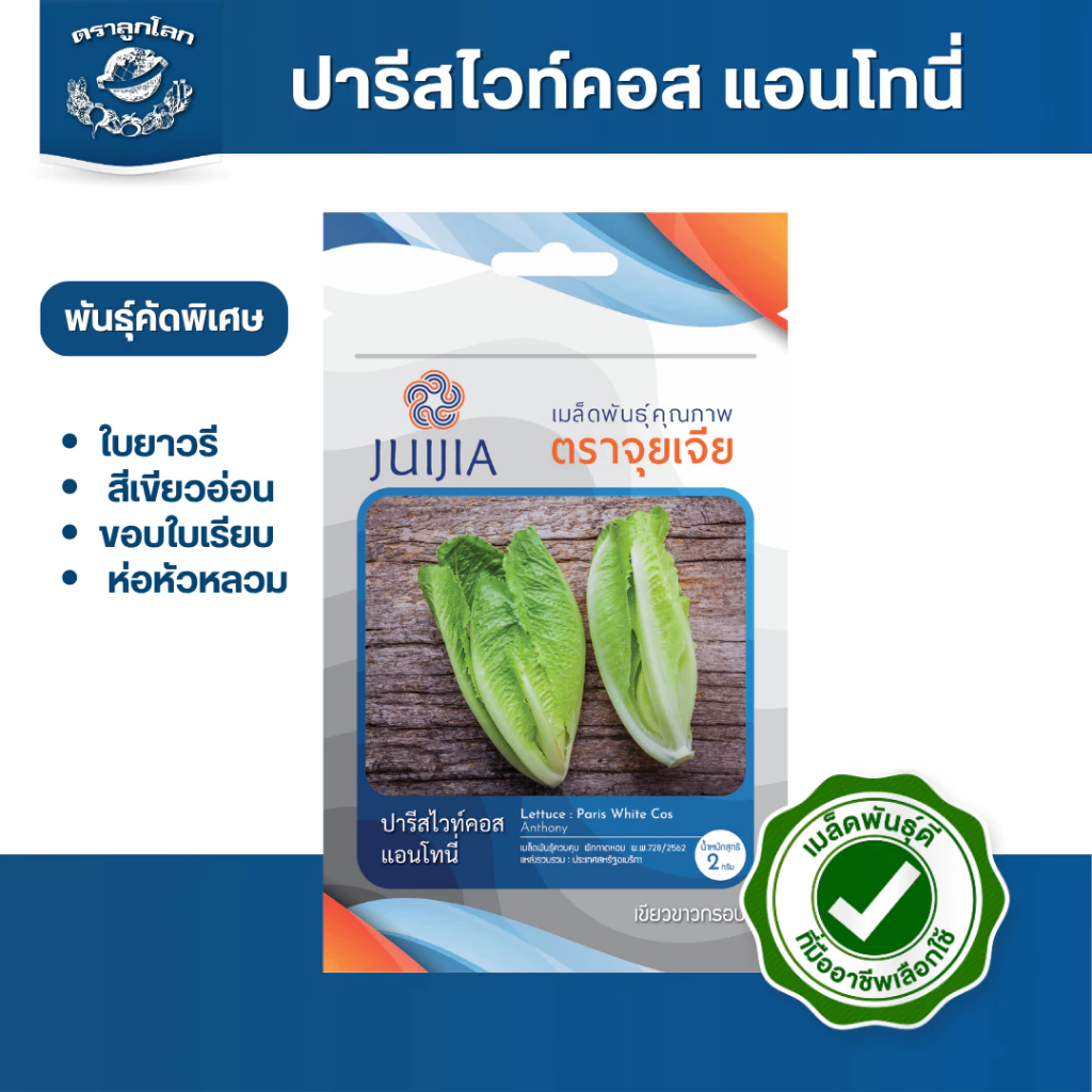 ตราลูกโลก เมล็ดผักกาดหอม ปารีสไวท์คอส Lettuce เมล็ดพันธุ์ผัก ผักสวนครัว ผักซอง ลูกโลก