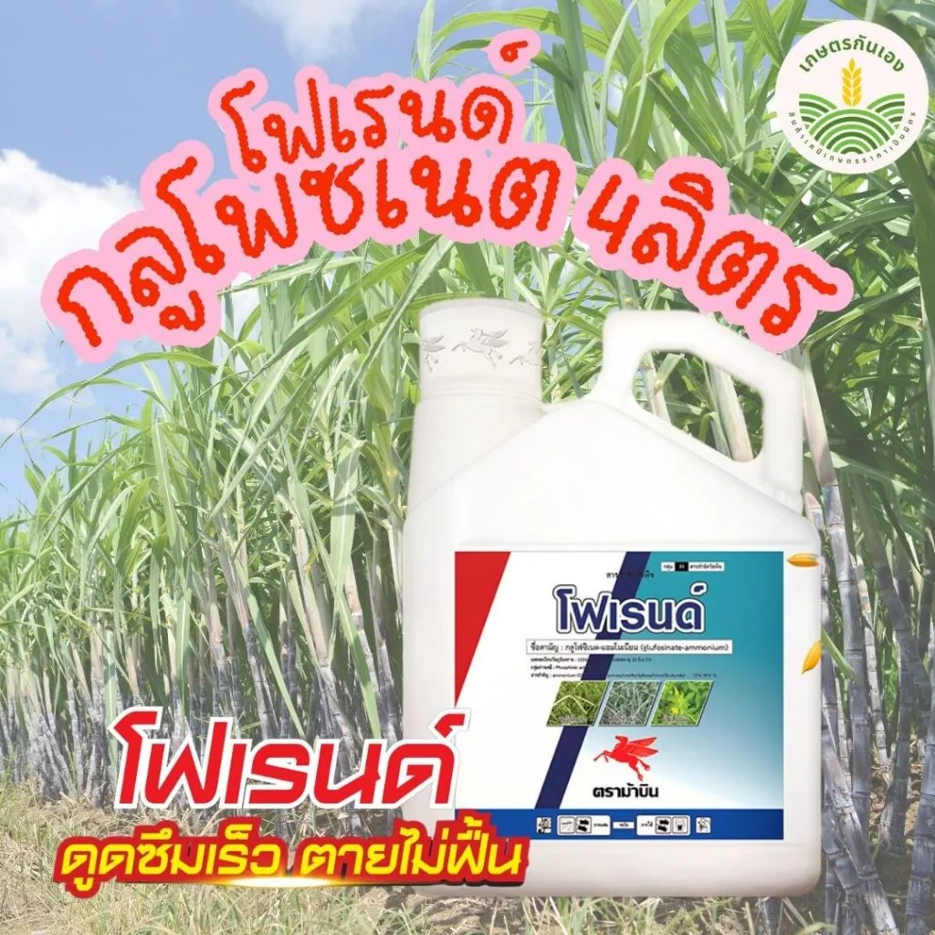 โฟเรนด์ กลูโฟซิเนต 4ลิตร ตราม้าบิน กำจัดวัชพืช