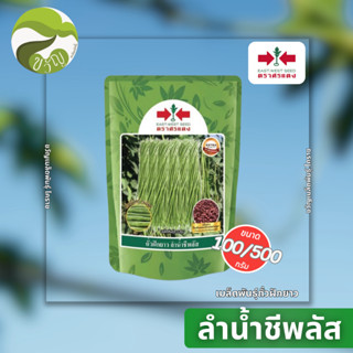 เมล็ดพันธุ์ ถั่วฝักยาว ลำน้ำชีพลัส ลอตใหม่ ล่าสุด