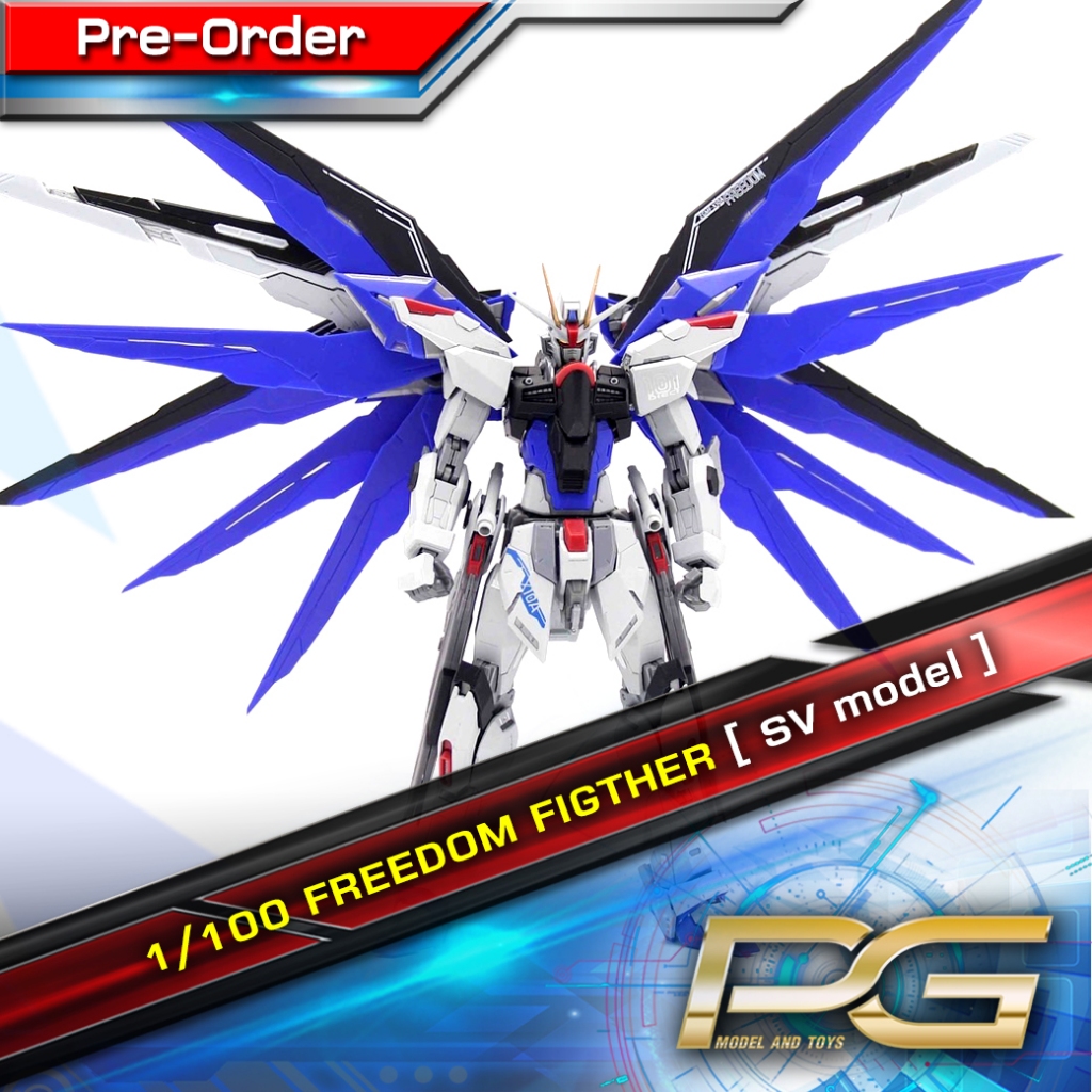 1/100 FREEDOM FIGTHER [ SV model ]