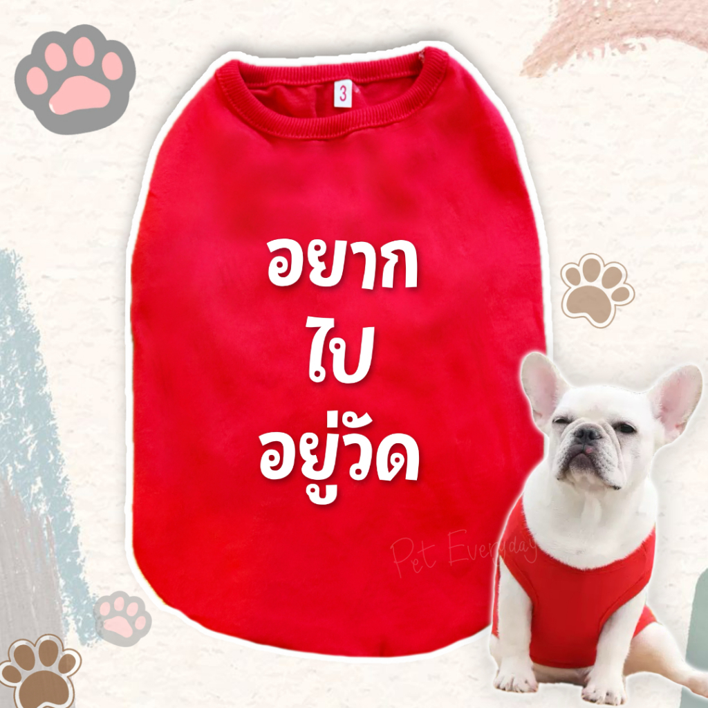 🔥ส่งฟรี 🇹🇭🔥Hot เสื้อสัตว์เลี้ยง สกรีนคำกวนๆ ชุดน้องหมา น้องแมว สัตว์เลี้ยง เสื้อผ้าคอตตอน 🦄