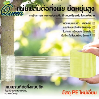 สามขนาด เทปพันกิ่งไม้ 3/5/10 ซม. ยาว 200 เมตร อุปกรณ์ทำสวน แลปพลาสติก อุปกรณ์ตอนกิ่ง เทปพันกิ่งเสียบยอด ผ้าเทปพันกิ่ง