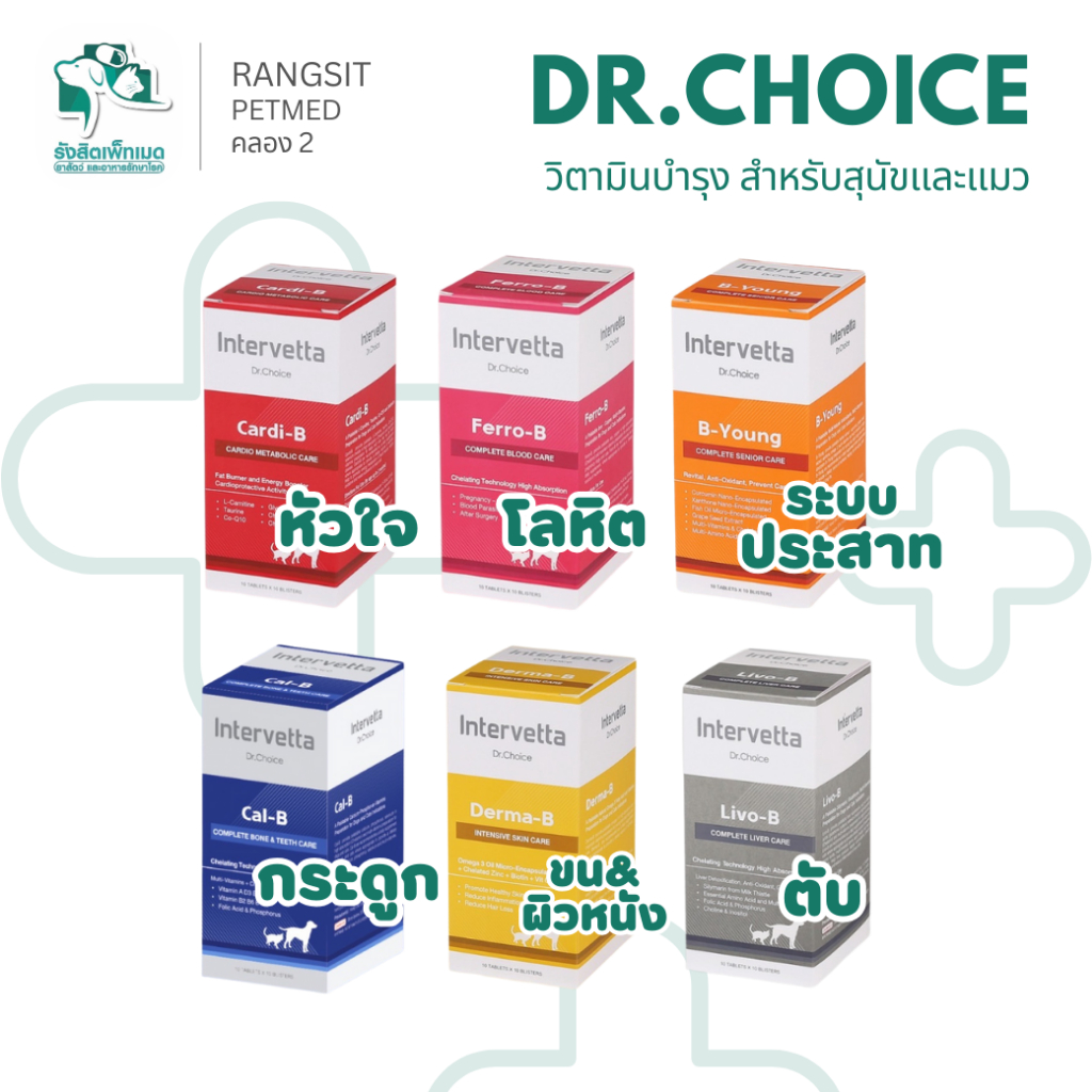[100 เม็ด] Dr.Choice แท้💯อาหารเสริมสำหรับสุนัขและแมว B-Young / Cardi-B / Derma-B / Ferro-B / Livo-B 