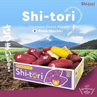 มันหวานญี่ปุ่น เบนิฮารุกะ “ชิโทริ” ของแท้นำเข้าจาก จ.อิบาราก…
