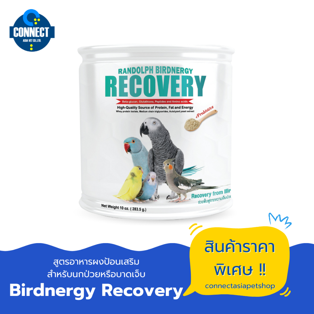 Randolph - Birdnergy Recovery อาหารฟืนฟูสำหรับนกป่วย ขนาด 283.5 กรัม