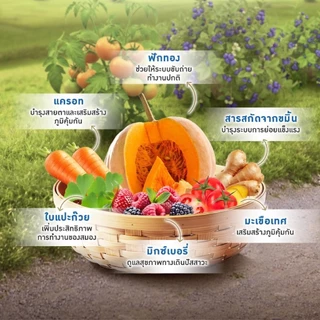 Perfecta สูตรใหม่! Holistic Grain Free อาหารสุนัขและแมว ขนาด0.8, 1, 2.5, 3 กิโลกรัม